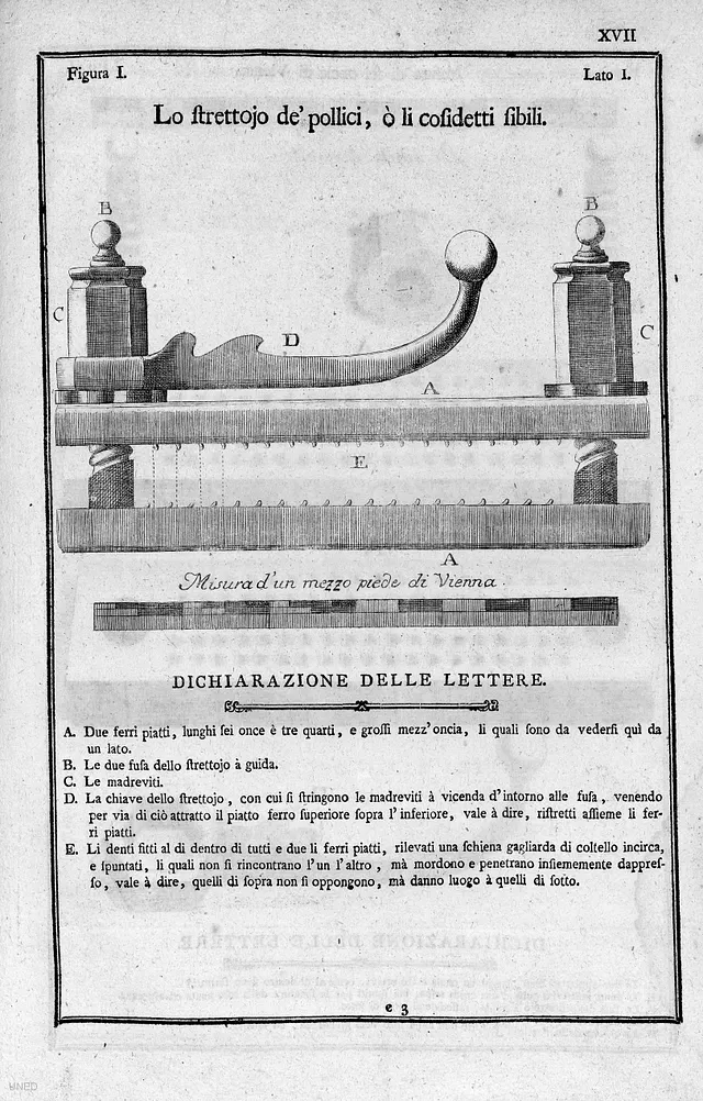 Из кодекса Марии Терезии.