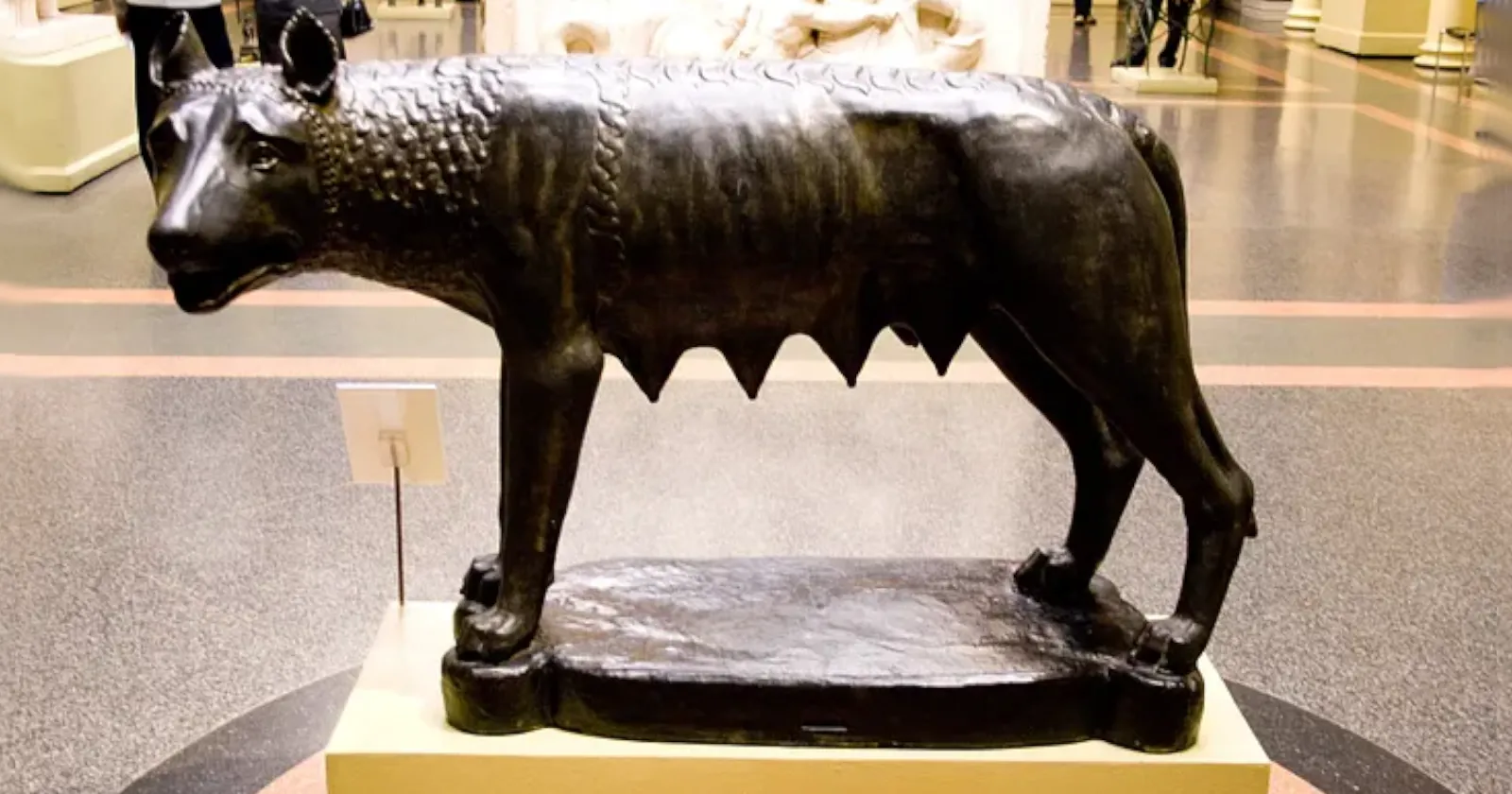 Сука любовь