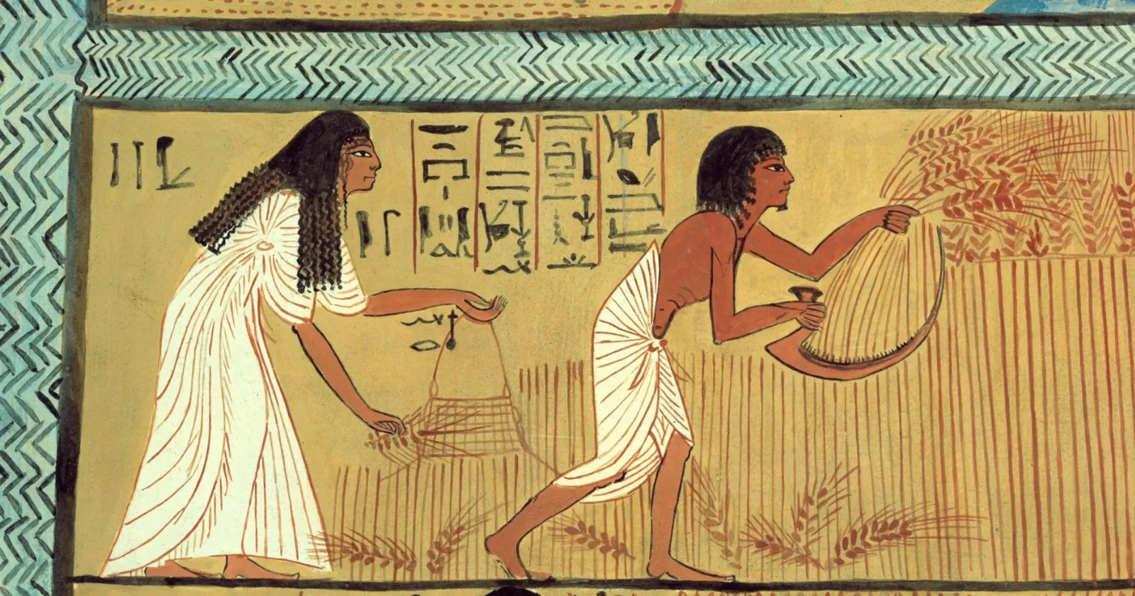 Египетский центнер с гектара