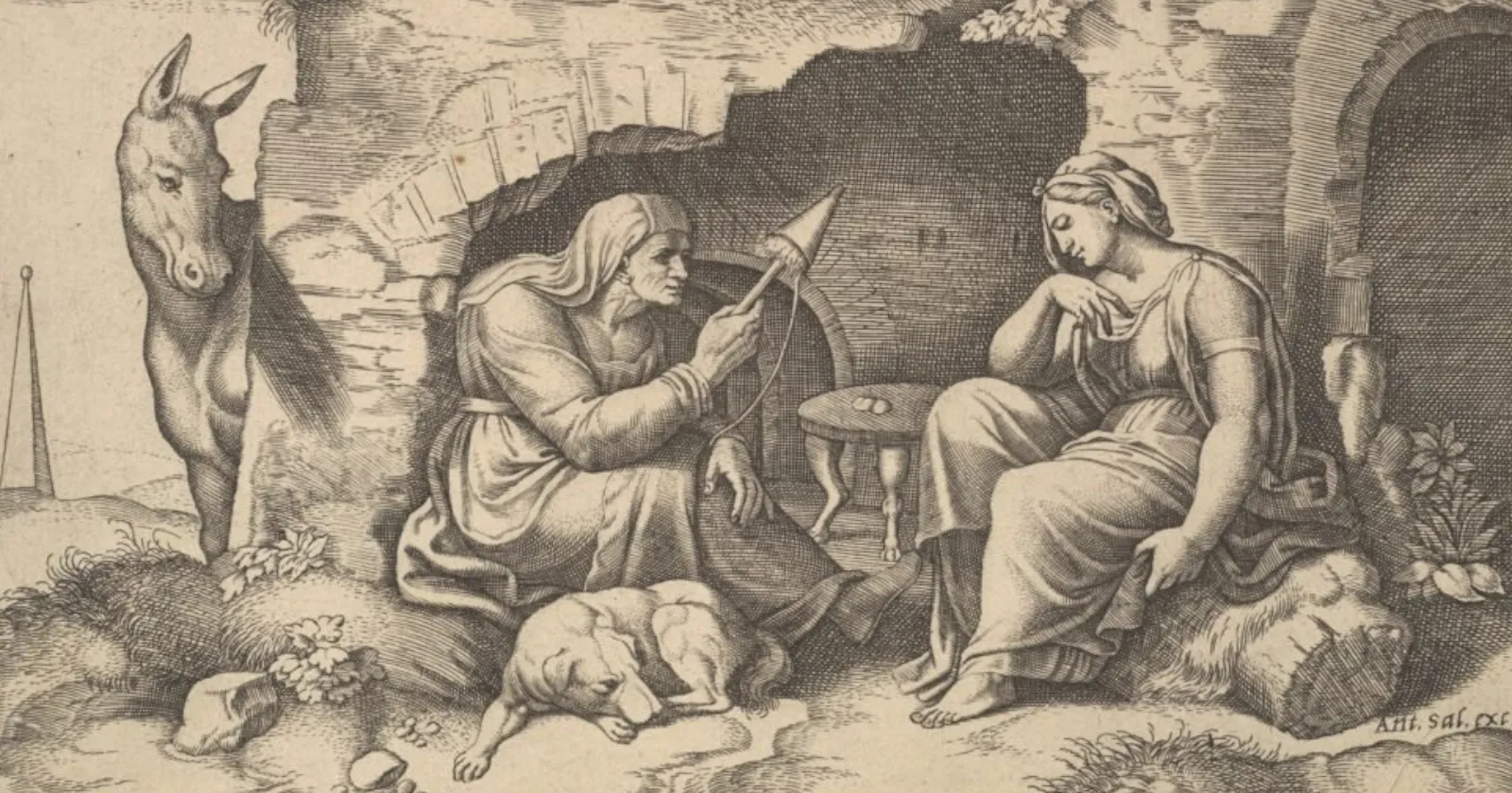 Занимательное ословедение