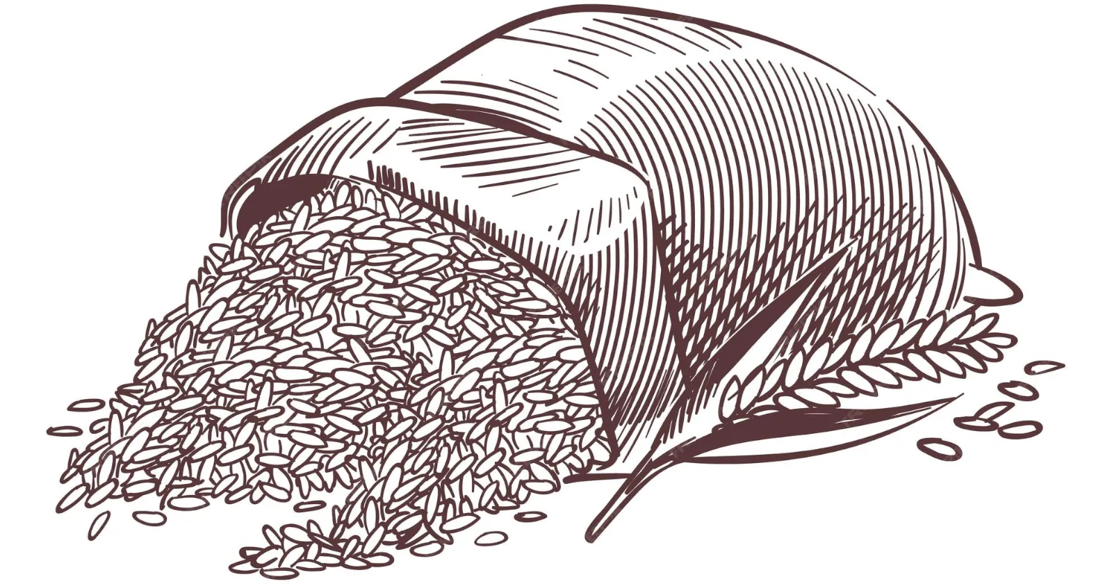 Русский царь и Бреславский шлях