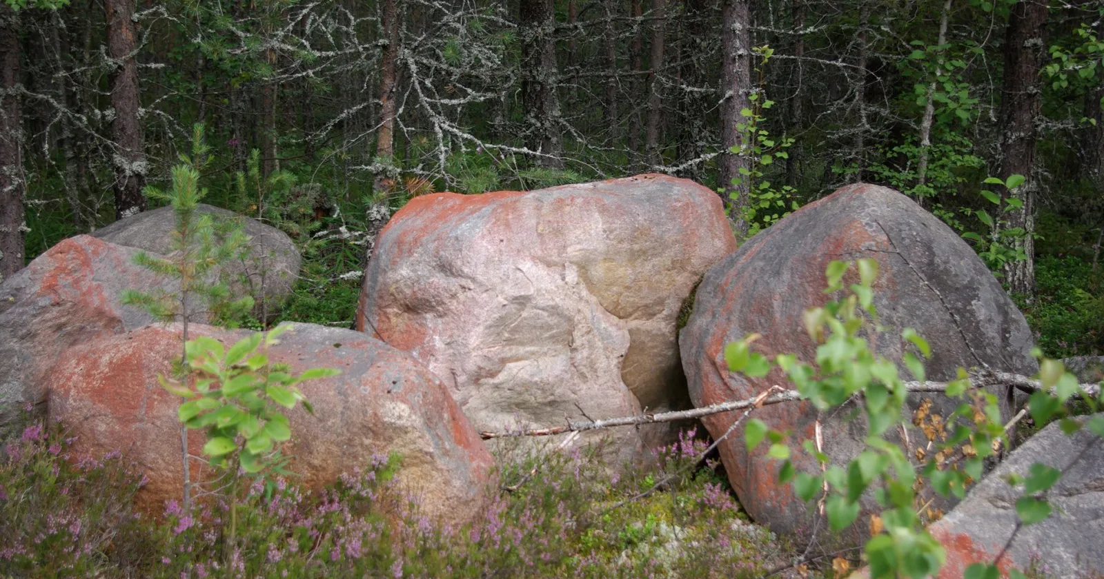 Его принес сюда ледник!