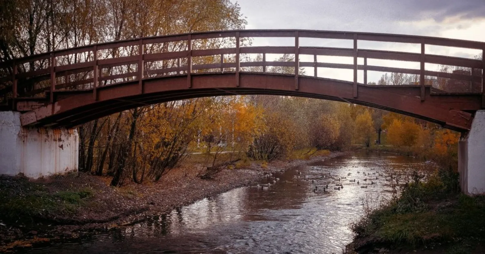 Илейка Муромец и его путь на запад