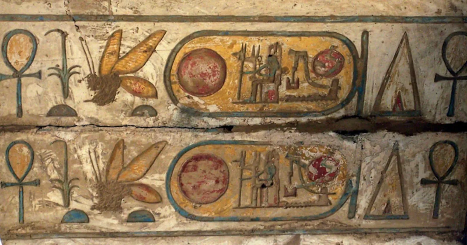 «Неправильные пчелы» древней Индии